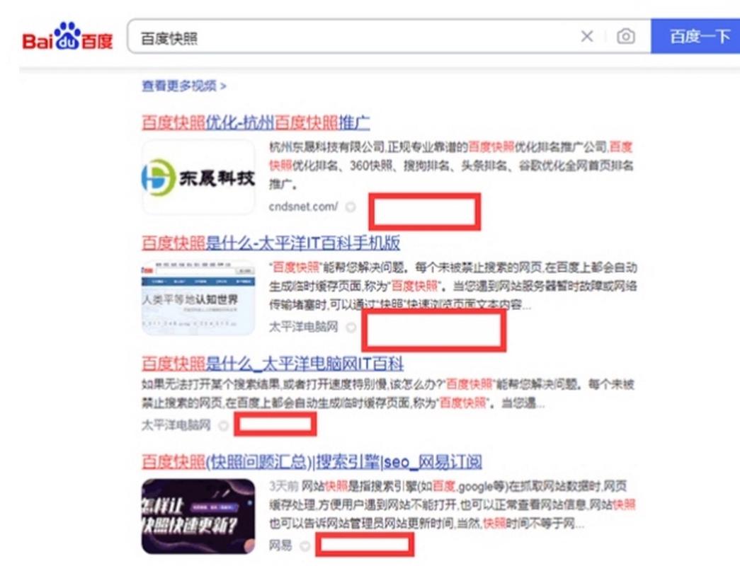 百度快照劫持了你的网站？三招让页面恢复并锁定真实内容
